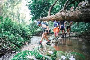 BIB: 
                            <button type="button" onclick="openModal(25458620)" class="btn btn-primary btn-sm float-right btn-popup" data-toggle="modal" data-target=".modal-high-quality">
                        <i class="fas fa-shopping-cart"></i> Add to Cart
                    </button>
                                            <button type="button" onclick="isThisMe(25458620, true)" class="btn btn-success btn-sm float-right btn-popup btn-isme hidden" data-toggle="tooltip" data-placement="bottom" title="นี่คือรูปของคุณใช่ไหม คลิกที่นี่เพื่อเอาเข้าอัลบั้ม">
                        <i class="fas fa-plus"></i> Add to album
                    </button>
                    <button type="button" onclick="isThisMe(25458620, false)" class="btn btn-warning btn-sm float-right btn-popup btn-isnotme hidden">
                        <i class="fas fa-ban"></i> Remove from album
                    </button>